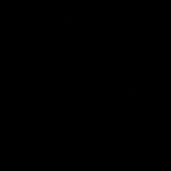 brigonzalez583